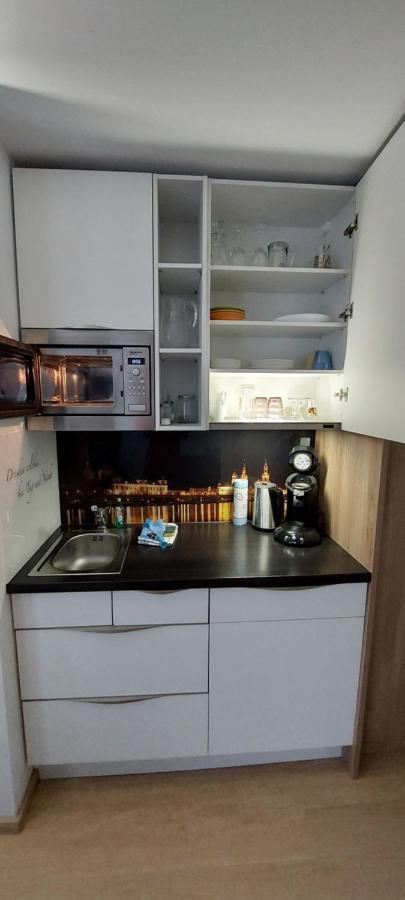 Appartements Am Schillergarten Dresden Exteriör bild